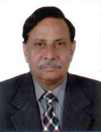 Prof. S. N. Gaur